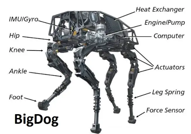 Big dog by Boston Dynamics
