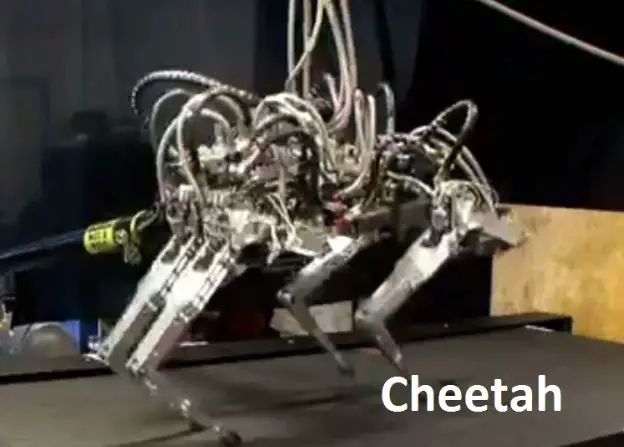 Cheetah by Boston Dynamics