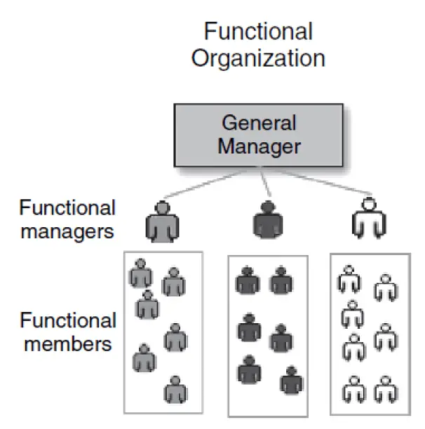 Function based Organizational structures