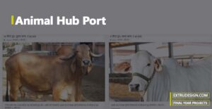 Animal Hub Portal Design project
