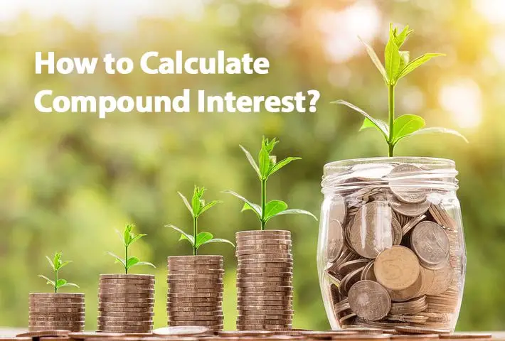 Compound Interest Calculator - ExtruDesign