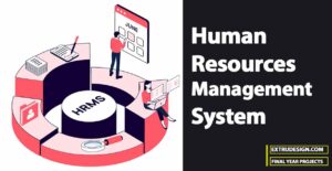 Human Resources Management System (HRMS) As A Linking Bridge Of Productivity Between Organization And Its Employees