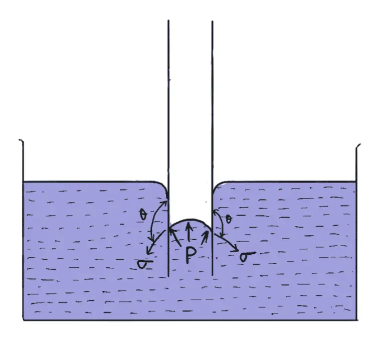 What are Surface Tension and Capillarity? - ExtruDesign