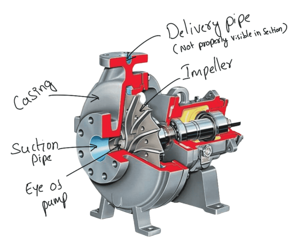 Work Done By The Centrifugal Pump