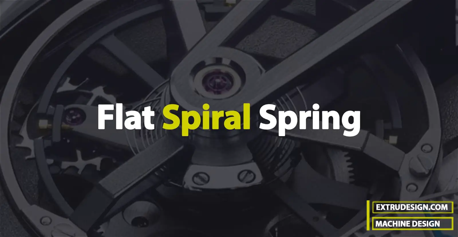 What are Flat Spiral Spring?